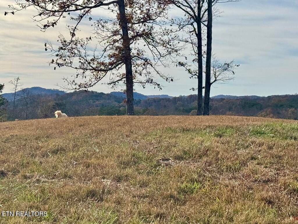 Photo of 2 Three Point Rd, Vonore, TN 37885 (MLS # 1283539)