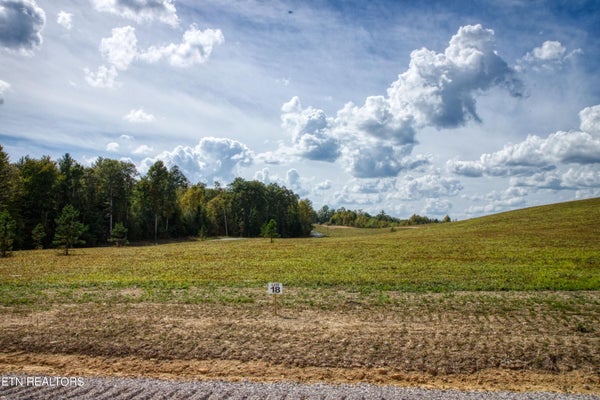 OLD MOUNT HELEN RD, ALLARDT, TN 38504 - Image 1c2eb1ca10db19f34b9dbf3b6acabda1/863372325