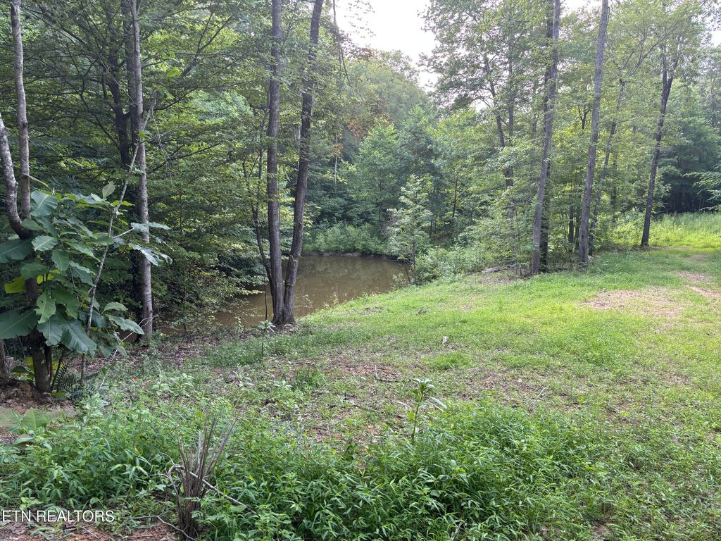 Photo of Eagle Ridge PVT Rd, Huntsville, TN 37756 (MLS # 1311511)