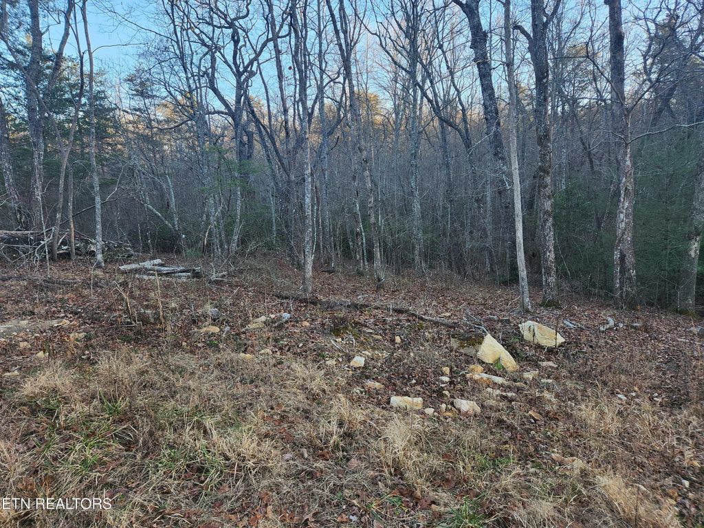 Photo of 448 St. George Drive, Crossville, TN 38558 (MLS # 1326422)