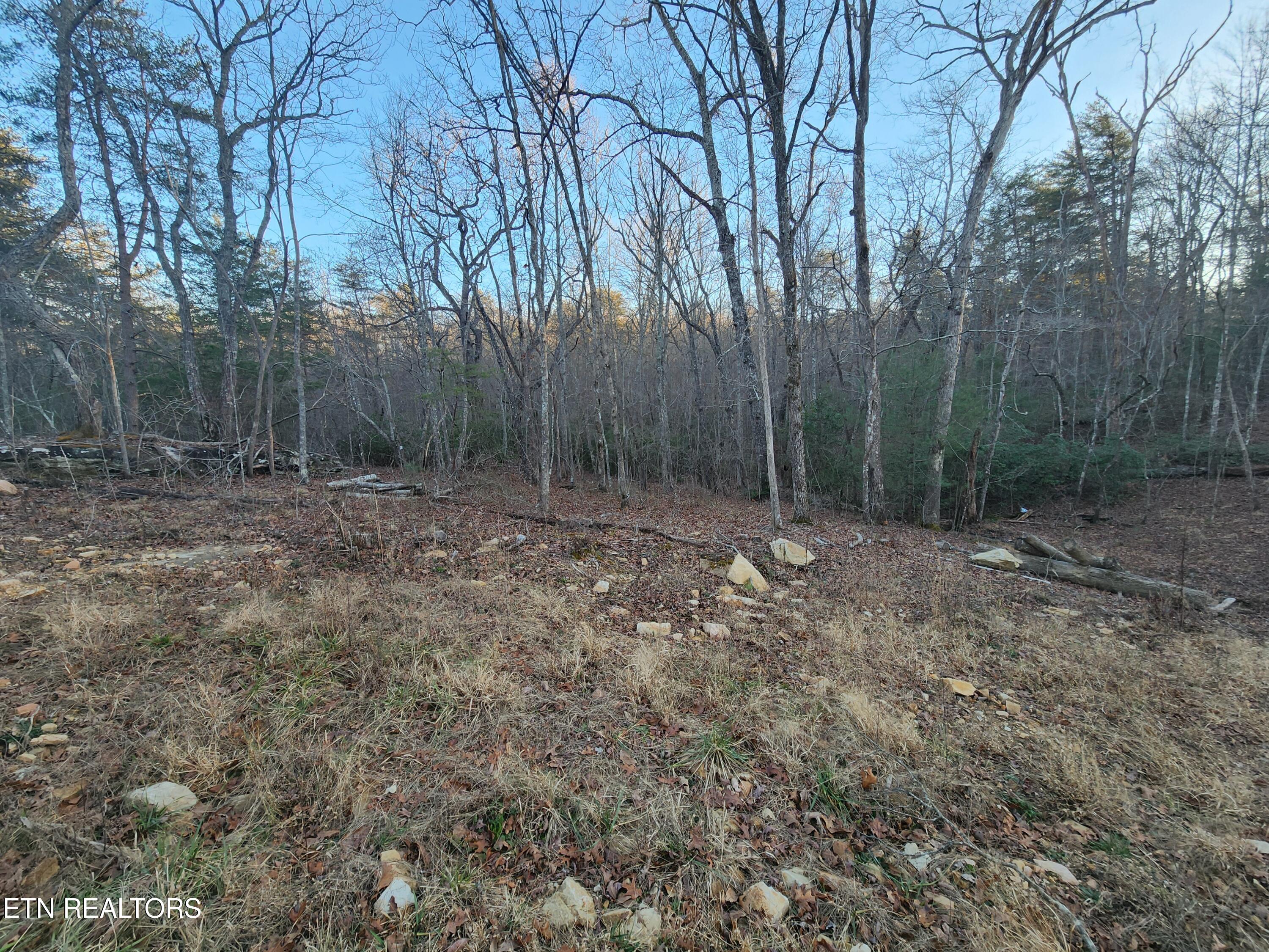 448 St. George Drive