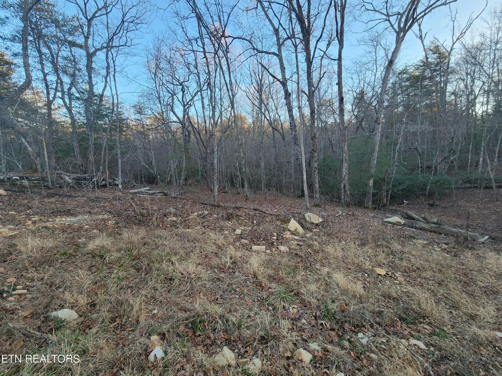 Photo of 448 St. George Drive, Crossville, TN 38558 (MLS # 1326422)