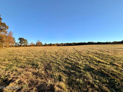 Tiny photo for Poke Patch Rd, Crossville, TN 38572 (MLS # 1359981)