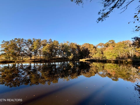 Tiny photo for Poke Patch Rd, Crossville, TN 38572 (MLS # 1359981)
