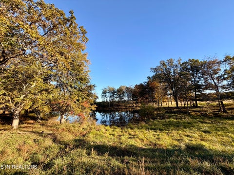 Tiny photo for Poke Patch Rd, Crossville, TN 38572 (MLS # 1359981)