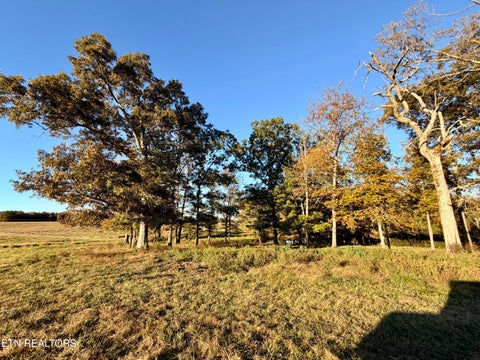 Tiny photo for Poke Patch Rd, Crossville, TN 38572 (MLS # 1359981)
