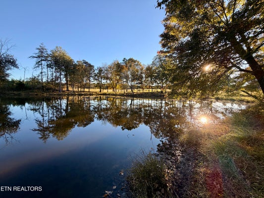 POKE PATCH RD, CROSSVILLE, TN 38572 - Image 1c3bb5a6df7fe0503af607c5bd4e3278/372666421