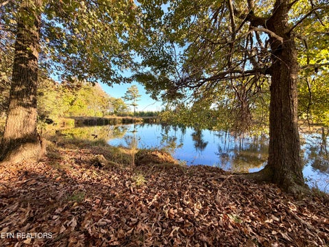 Tiny photo for Poke Patch Rd, Crossville, TN 38572 (MLS # 1359981)