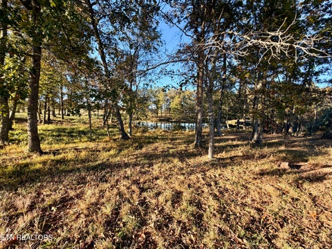 Tiny photo for Poke Patch Rd, Crossville, TN 38572 (MLS # 1359981)