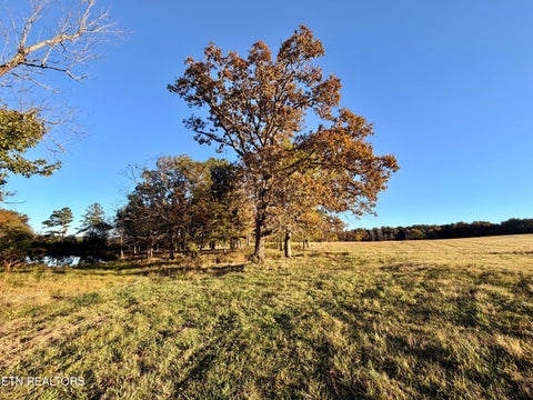 Tiny photo for Poke Patch Rd, Crossville, TN 38572 (MLS # 1359981)