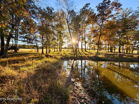 Tiny photo for Poke Patch Rd, Crossville, TN 38572 (MLS # 1359981)