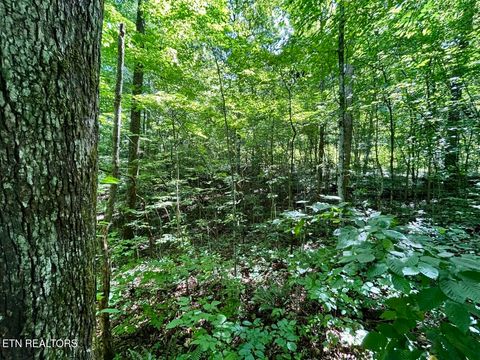 Tiny photo for TBD Grand Country Drive, Cosby, TN 37722 (MLS # 1323224)