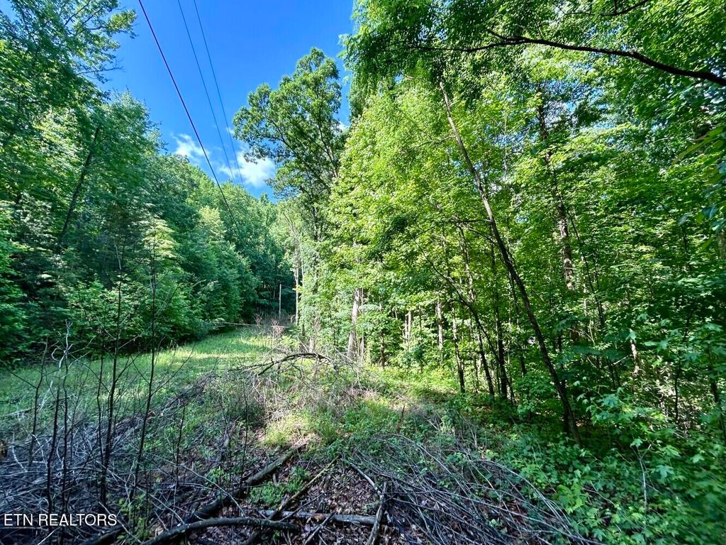Photo of TBD Grand Country Drive, Cosby, TN 37722 (MLS # 1323224)