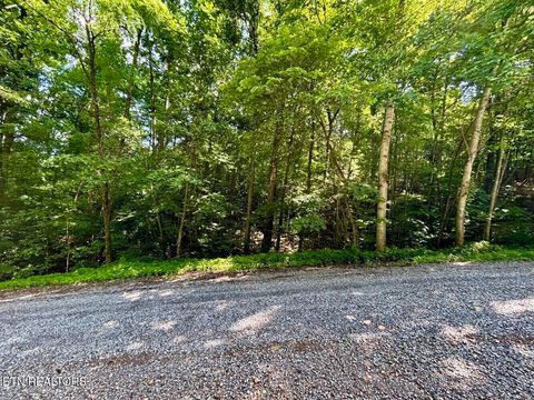 Tiny photo for TBD Grand Country Drive, Cosby, TN 37722 (MLS # 1323224)