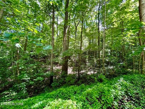 Tiny photo for TBD Grand Country Drive, Cosby, TN 37722 (MLS # 1323224)