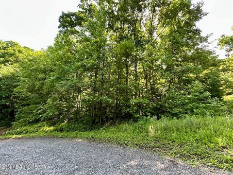Tiny photo for TBD Grand Country Drive, Cosby, TN 37722 (MLS # 1323224)