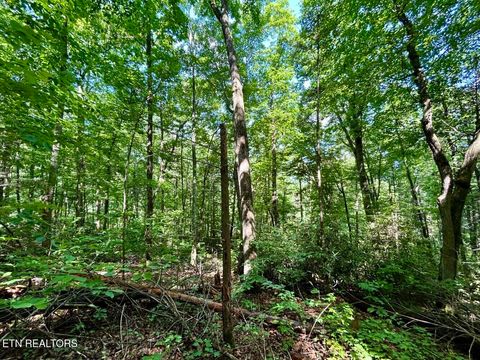Tiny photo for TBD Grand Country Drive, Cosby, TN 37722 (MLS # 1323224)