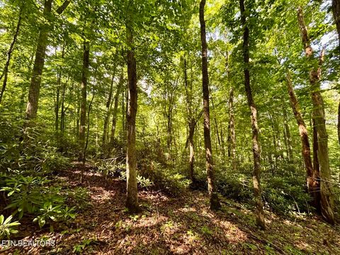 Tiny photo for TBD Grand Country Drive, Cosby, TN 37722 (MLS # 1323224)