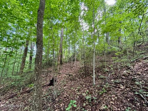 Tiny photo for TBD Grand Country Drive, Cosby, TN 37722 (MLS # 1323224)