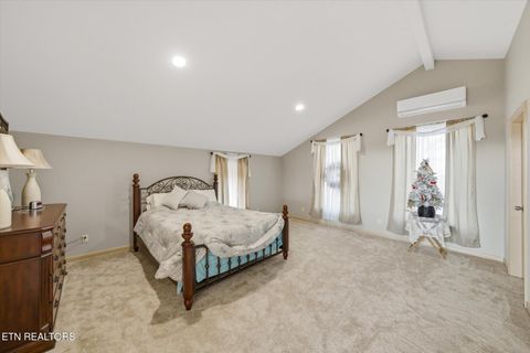 Tiny photo for 260 Highway 113, White Pine, TN 37890 (MLS # 1324903)