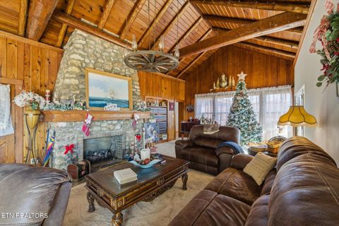 Tiny photo for 260 Highway 113, White Pine, TN 37890 (MLS # 1324903)