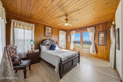 Tiny photo for 260 Highway 113, White Pine, TN 37890 (MLS # 1324903)