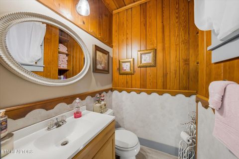 Tiny photo for 260 Highway 113, White Pine, TN 37890 (MLS # 1324903)