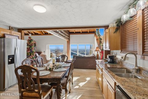 Tiny photo for 260 Highway 113, White Pine, TN 37890 (MLS # 1324903)