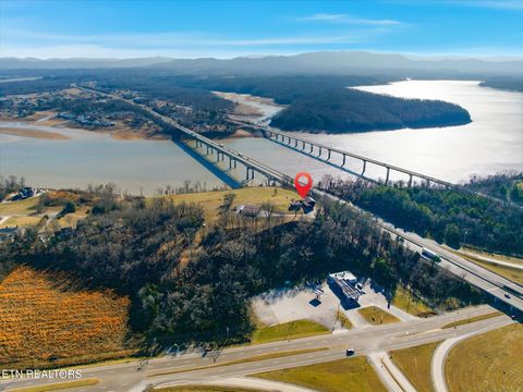 Tiny photo for 260 Highway 113, White Pine, TN 37890 (MLS # 1324903)