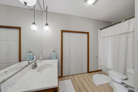 Tiny photo for 260 Highway 113, White Pine, TN 37890 (MLS # 1324903)