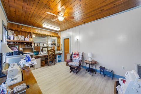 Tiny photo for 260 Highway 113, White Pine, TN 37890 (MLS # 1324903)