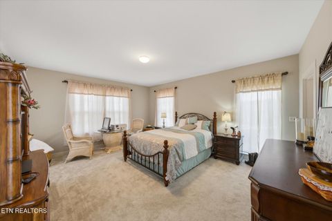 Tiny photo for 260 Highway 113, White Pine, TN 37890 (MLS # 1324903)