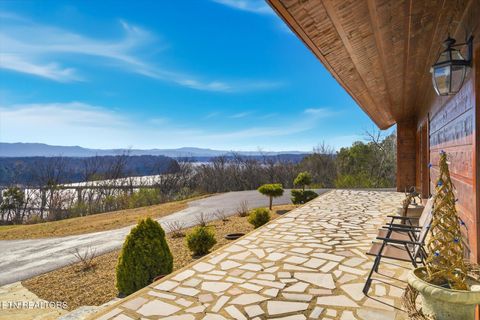 Tiny photo for 260 Highway 113, White Pine, TN 37890 (MLS # 1324903)