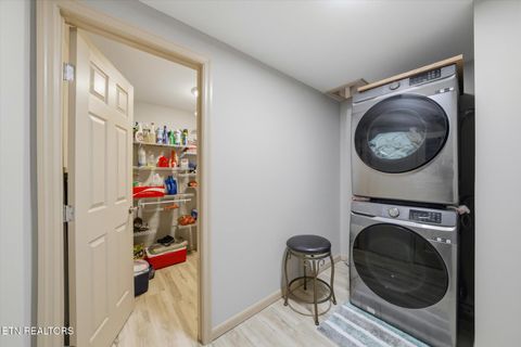 Tiny photo for 260 Highway 113, White Pine, TN 37890 (MLS # 1324903)