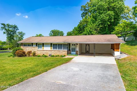 Photo of 4619 Tanglewood Rd, Knoxville, TN 37912 (MLS # 1338413)