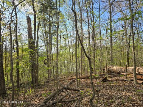 Tiny photo for 3711 Elm Springs Ridge Rd, Washburn, TN 37888 (MLS # 1338379)