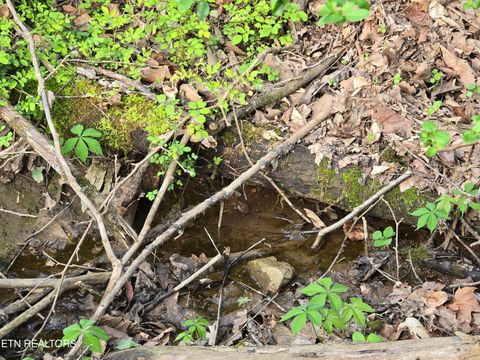 Tiny photo for 3711 Elm Springs Ridge Rd, Washburn, TN 37888 (MLS # 1338379)