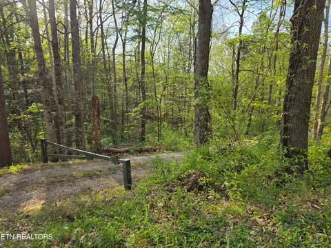 Tiny photo for 3711 Elm Springs Ridge Rd, Washburn, TN 37888 (MLS # 1338379)