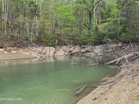 Tiny photo for 3711 Elm Springs Ridge Rd, Washburn, TN 37888 (MLS # 1338379)