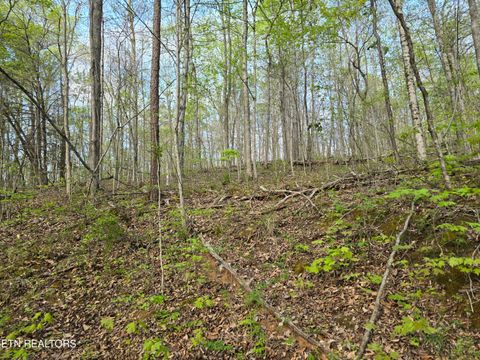 Tiny photo for 3711 Elm Springs Ridge Rd, Washburn, TN 37888 (MLS # 1338379)