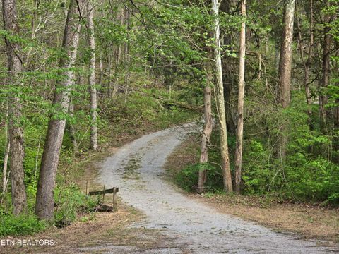 Tiny photo for 3711 Elm Springs Ridge Rd, Washburn, TN 37888 (MLS # 1338379)