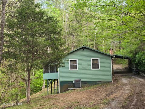 Tiny photo for 3711 Elm Springs Ridge Rd, Washburn, TN 37888 (MLS # 1338379)