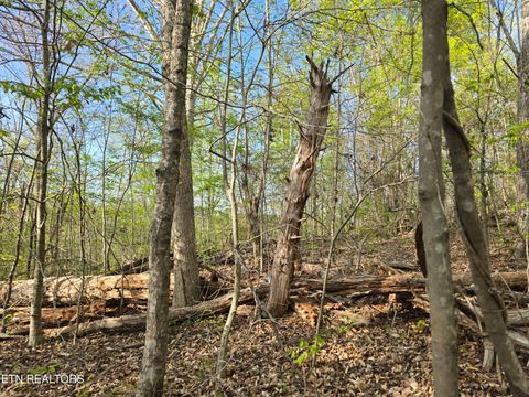 Tiny photo for 3711 Elm Springs Ridge Rd, Washburn, TN 37888 (MLS # 1338379)