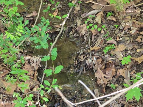 Tiny photo for 3711 Elm Springs Ridge Rd, Washburn, TN 37888 (MLS # 1338379)