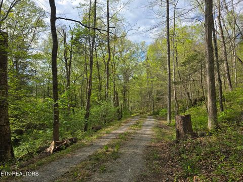 Tiny photo for 3711 Elm Springs Ridge Rd, Washburn, TN 37888 (MLS # 1338379)