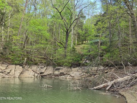Tiny photo for 3711 Elm Springs Ridge Rd, Washburn, TN 37888 (MLS # 1338379)