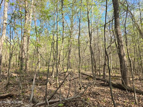 Tiny photo for 3711 Elm Springs Ridge Rd, Washburn, TN 37888 (MLS # 1338379)