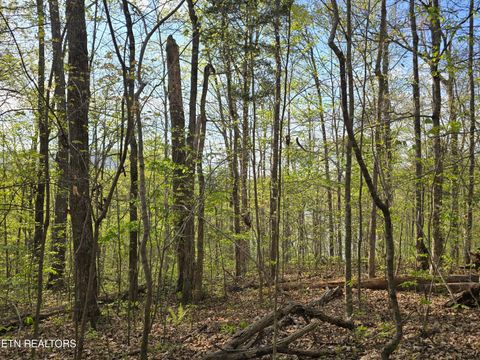 Tiny photo for 3711 Elm Springs Ridge Rd, Washburn, TN 37888 (MLS # 1338379)
