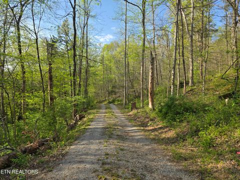 Tiny photo for 3711 Elm Springs Ridge Rd, Washburn, TN 37888 (MLS # 1338379)