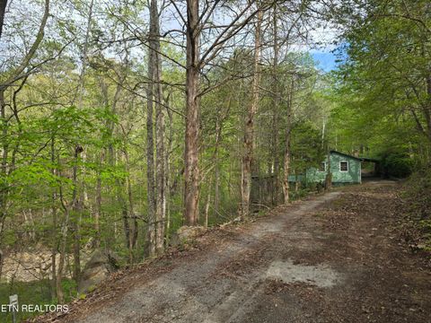 Tiny photo for 3711 Elm Springs Ridge Rd, Washburn, TN 37888 (MLS # 1338379)